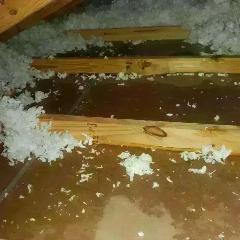 Attic Water Damage in Lawrence, IN