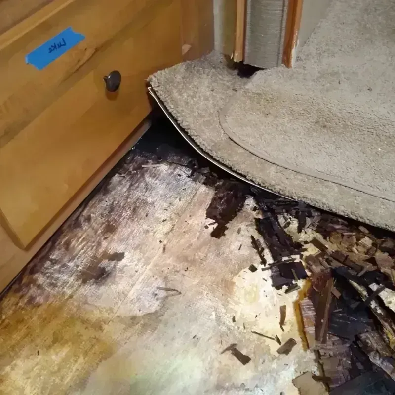 Wood Floor Water Damage in Lawrence, IN